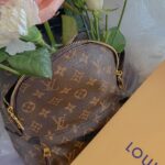 Removing mold from Luis Vuitton bag