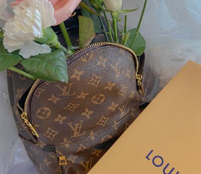 Removing mold from Luis Vuitton bag